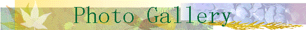Photo Gallery
